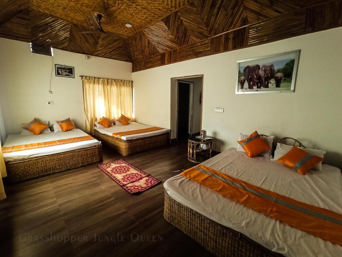 Grasshopper Jungle Queen Resort Chalsa ภายนอก รูปภาพ