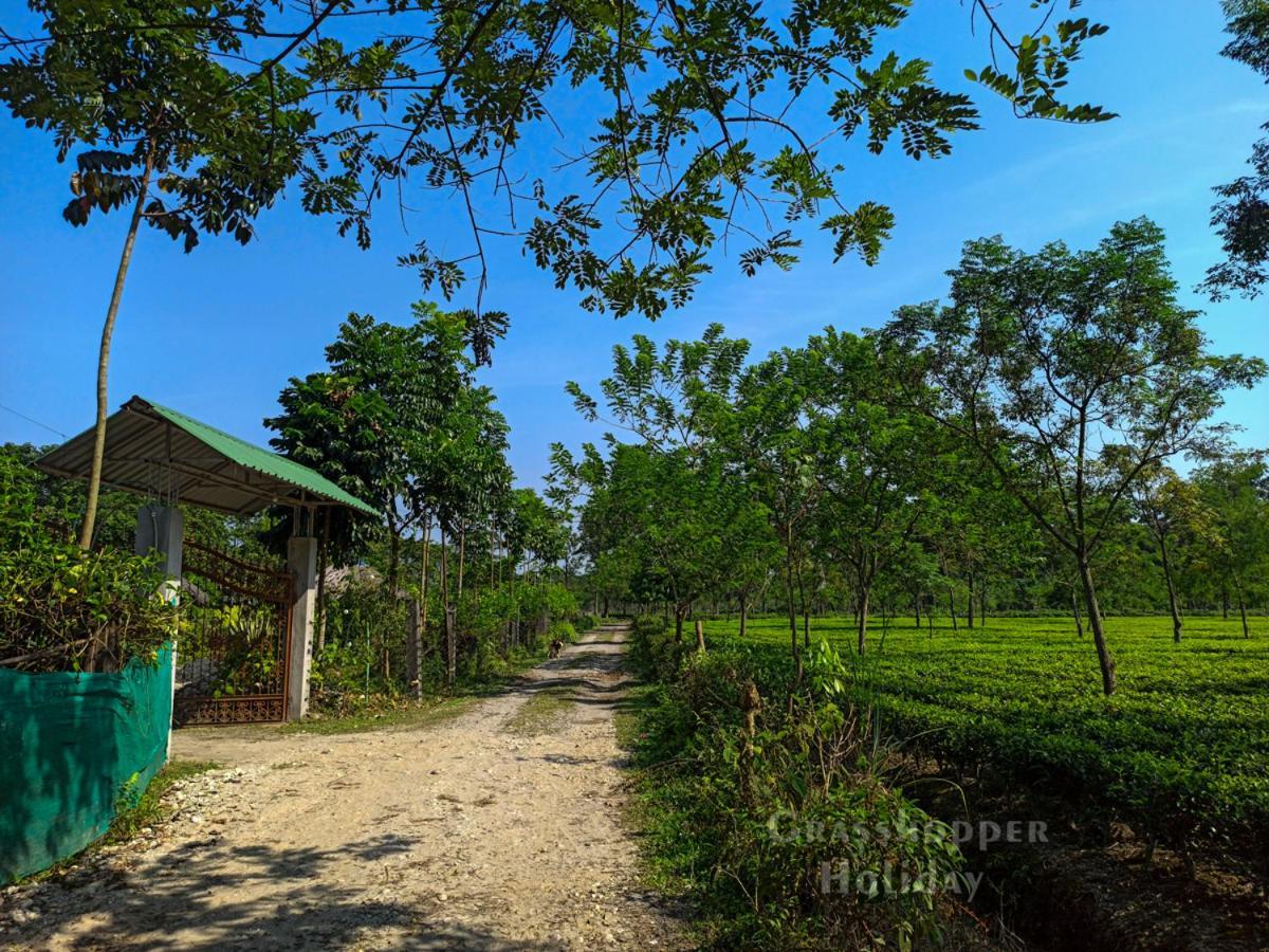 Grasshopper Jungle Queen Resort Chalsa ภายนอก รูปภาพ