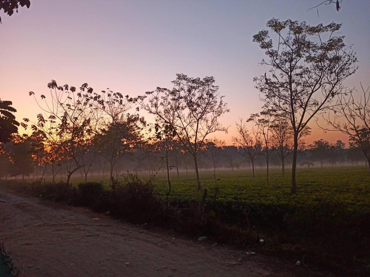 Grasshopper Jungle Queen Resort Chalsa ภายนอก รูปภาพ