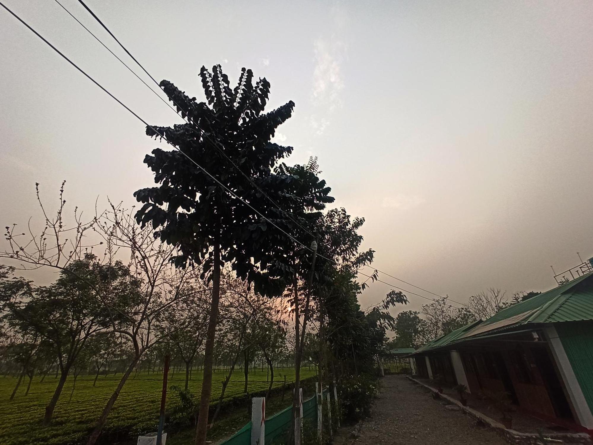 Grasshopper Jungle Queen Resort Chalsa ภายนอก รูปภาพ