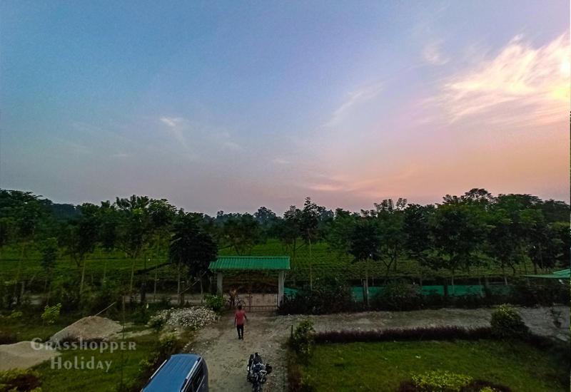 Grasshopper Jungle Queen Resort Chalsa ภายนอก รูปภาพ