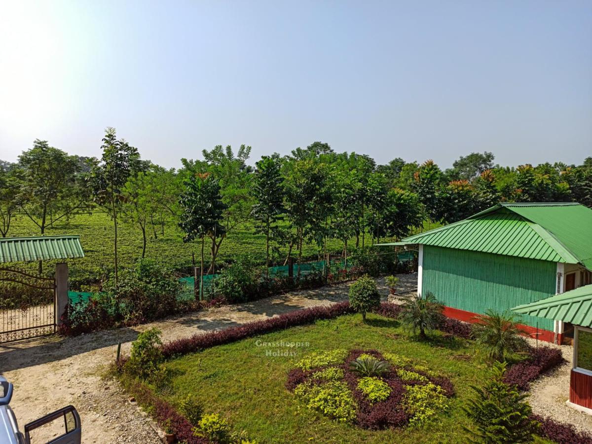 Grasshopper Jungle Queen Resort Chalsa ภายนอก รูปภาพ