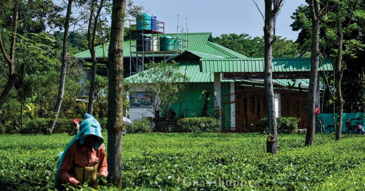 Grasshopper Jungle Queen Resort Chalsa ภายนอก รูปภาพ